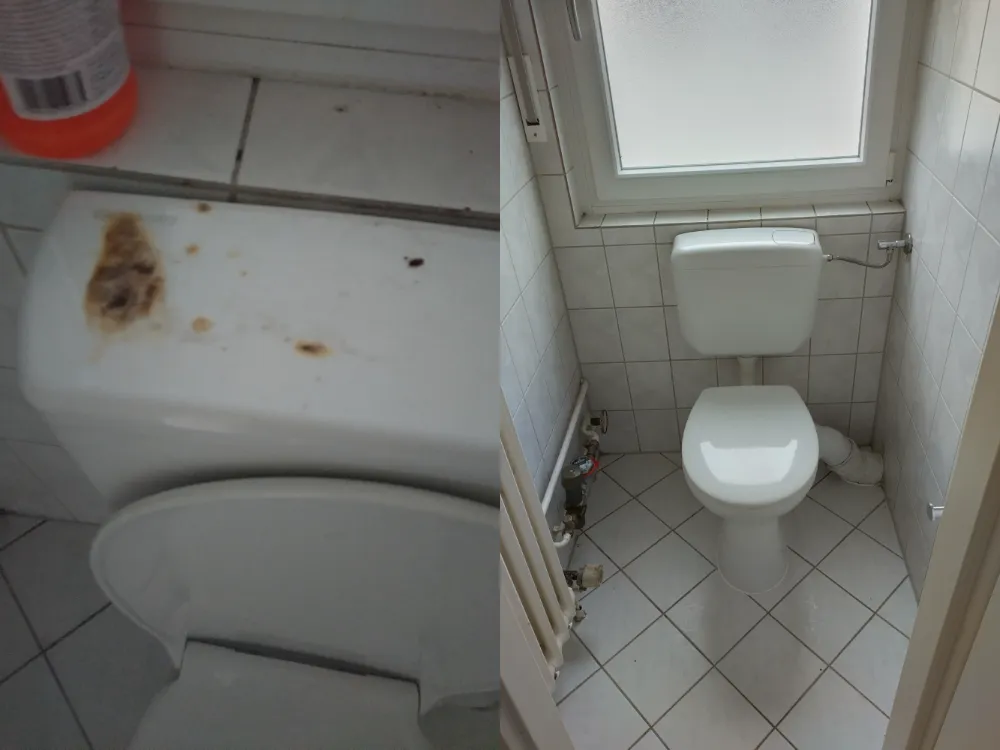 Vorher / Nachher: Toilette mit Brandflecken